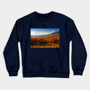 Colorful Autumn Crewneck Sweatshirt